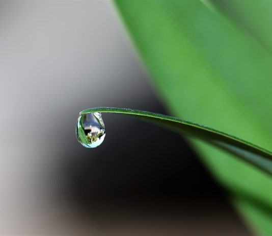 Crypto Plummets As CPI Worsens, Any Possibility For Turnaround?