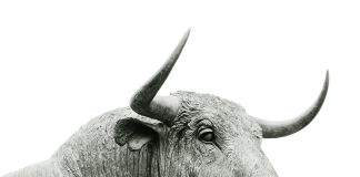 Universe ATOM Likewise Loses Its Gains As Market Changes Greatly