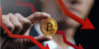 Bitcoin Cost Bottom To Occur In Q4 This Year, Crypto Specialist Forecasts