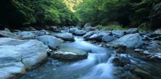 Algorand Rate Relocations Versus The Tide, ALGO Rises 22% In One Week