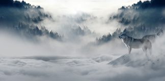 Algorand Signs Up Considerable Gains In The Middle Of Crypto Winter Season