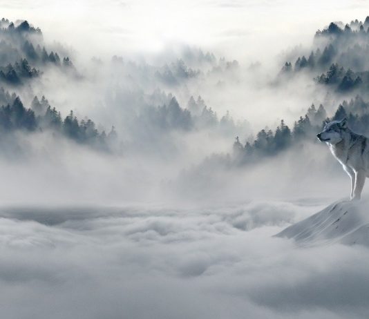 Algorand Signs Up Considerable Gains In The Middle Of Crypto Winter Season