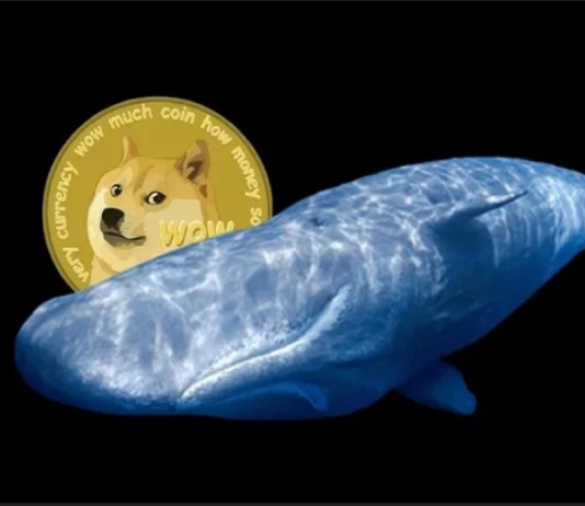 Dogecoin (DOGE) On Leading Of Whales Menu– Here’s Why
