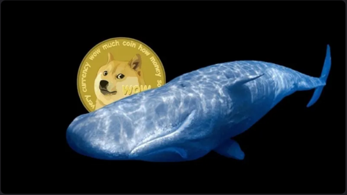 Dogecoin (DOGE) On Leading Of Whales Menu– Here’s Why