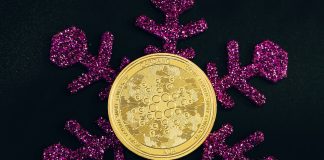 Cardano Rate Rises, Will The Bulls Hold The Healing? Cardano Rate Rises, Will The Bulls Hold The Healing?