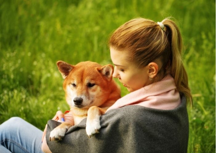 Shiba Inu Includes Almost 36,000 Holders Considering That June Regardless Of Crypto Market Chaos Shiba Inu Includes Almost 36,000 Holders Considering That June Regardless Of Crypto Market Chaos