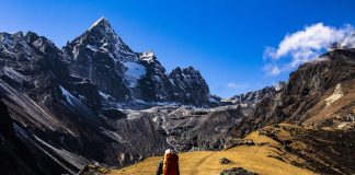 Chainlink Cost Spikes Above $7 While Bitcoin Sinks Listed Below $20,000