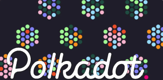 Polkadot Cost Watch: What A Drop In This Secret Location Can Mean For DOT?