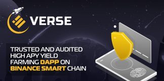 BUSDVerse: How to Make Greatest Yield Securely on Binance Smart Chain BUSDVerse: How to Make Greatest Yield Securely on Binance Smart Chain