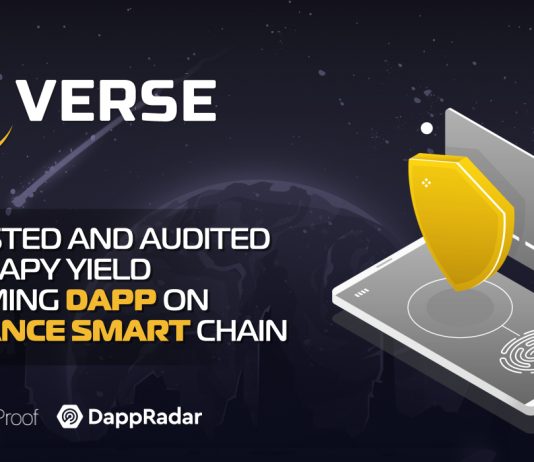 BUSDVerse: How to Make Greatest Yield Securely on Binance Smart Chain