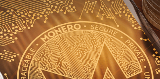 Monero Cost Continues Its Bullish Streak, Will This Be Its Next Trading Variety?