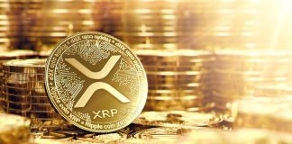 XRP Cost Rallied By Double Digits, Will Purchasers Protect This Level?