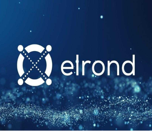 Elrond Coin Rate Seen Climbing Almost 20% In Next Couple Of Weeks– Here’s Why