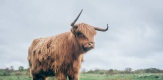 Uniswap (UNI) Exceeds Leading Coins With Over 10% Gains In A Week