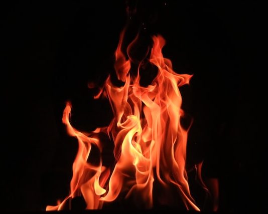 Dogecoin On Fire, Rallies After Elon Musk-Twitter Offer Verification