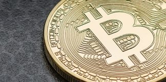 Bitcoin Blows The Highest Daily Candle Light Given That Last 24 Days Bitcoin Blows The Highest Daily Candle Light Given That Last 24 Days