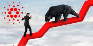 Brace For Effect: This Professional Trader States Cardano (ADA) Will See A 50% Decrease