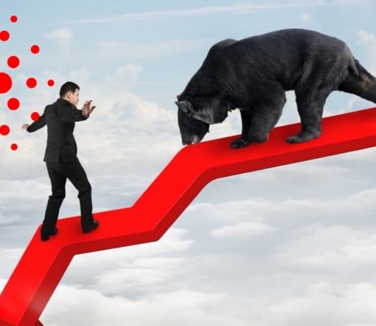 Brace For Effect: This Professional Trader States Cardano (ADA) Will See A 50% Decrease