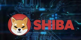 All Indications Show Shiba Inu Is Prepared For A Run; Here Is Why?