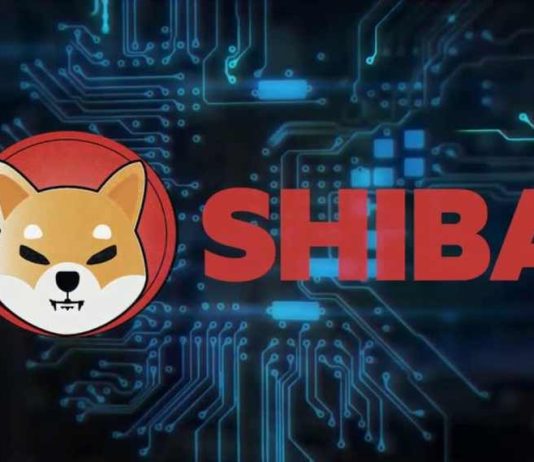 All Indications Show Shiba Inu Is Prepared For A Run; Here Is Why?