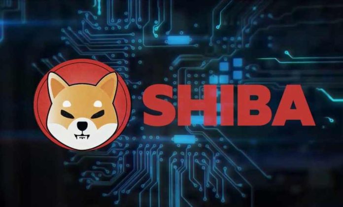 All Indications Show Shiba Inu Is Prepared For A Run; Here Is Why?