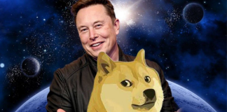 Dogecoin (DOGE) Defies The Bear, Exceeds Bitcoin And Ethereum, Lingering Pattern?