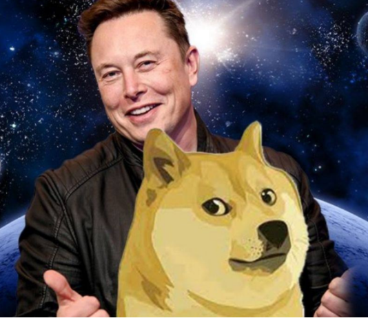 Dogecoin (DOGE) Defies The Bear, Exceeds Bitcoin And Ethereum, Lingering Pattern?
