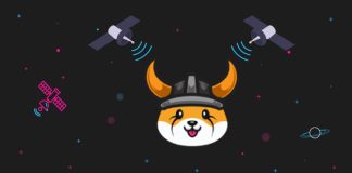 Floki Inu Eyes Break Out At $0.00000800, However The Rate Needs To Do This Very First