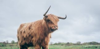 Polygon (MATIC) Leads Gains By Including Over 14% In A Week