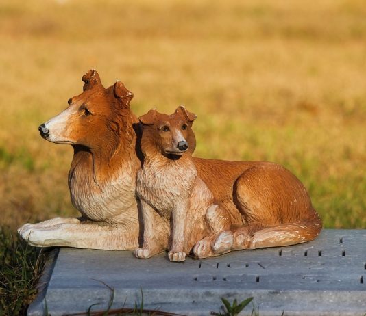 Dogecoin Tanks After Getting Momentum, Will It Mark New Gains?