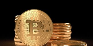 Here’s Why This Professional Believes Bitcoin Costs May Fall