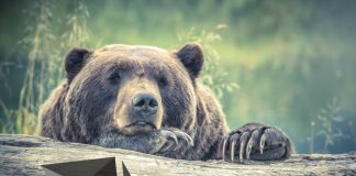 Ethereum Gains A Lot Need To Purchase $500, Will This Be Possible?