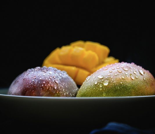 Solana-Based Mango Procedure Suffers $100 M+ Exploit