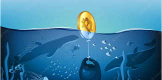 Bitcoin Holders Bracing For A Crypto Winter Season Bottom Ought To Inspect These Information Bitcoin Holders Bracing For A Crypto Winter Season Bottom Ought To Inspect These Information