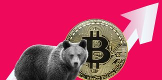 CPI Squashes Bitcoin Rate Down To $17,900, New Lows Imminent?
