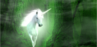 Uniswap (UNI) Likely To Reach $7– If Token Conquers This Resistance Level