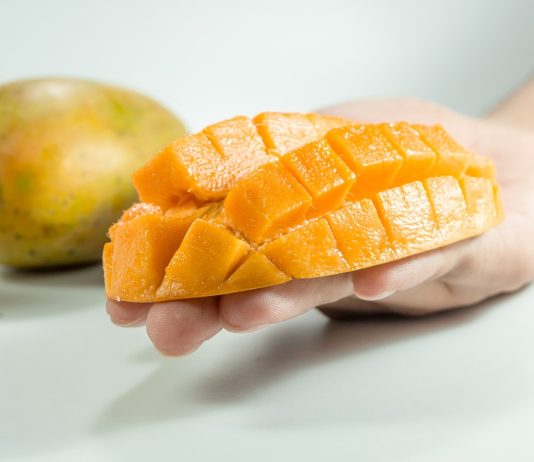 Mango Insanities: Exploiter Might Leave With Unequaled ~$50 M Bug Bounty