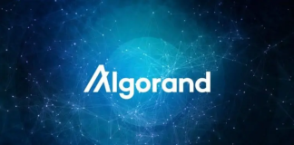 Algorand Social Activity Reaches 13 Million– Time To Purchase ALGO?