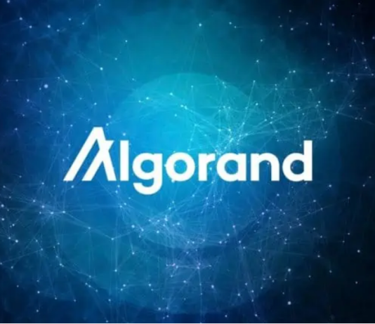 Algorand Social Activity Reaches 13 Million– Time To Purchase ALGO?