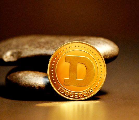 Dogecoin Cost Continues To Combine However A Move Above This Level Might Fuel A Rally