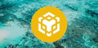 Binance Coin Purchasing Volume Up– Will This Press BNB As Much As $275 Level?
