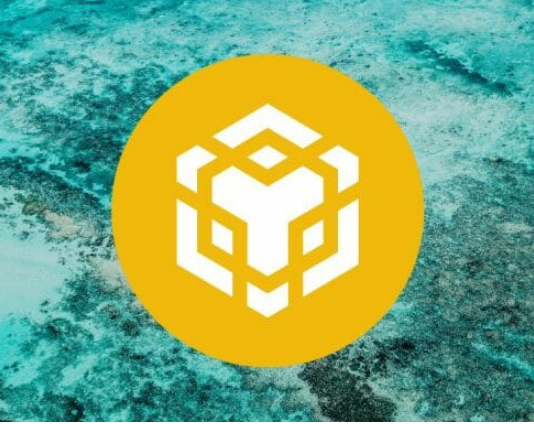 Binance Coin Purchasing Volume Up– Will This Press BNB As Much As $275 Level?