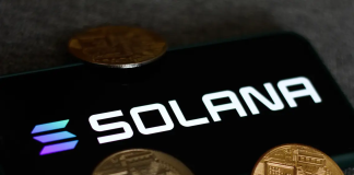 Solana (SOL) Breaks Listed Below $30 Assistance; Have Bulls Quit So Quickly?