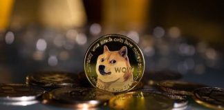 Dogecoin Gains 100 K Holders In Simply 3 Months, Report