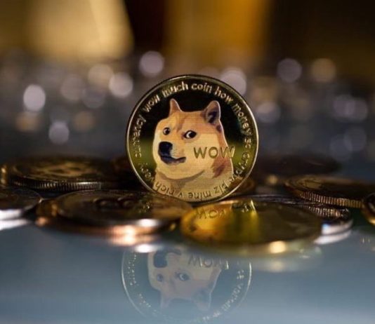 Dogecoin Gains 100 K Holders In Simply 3 Months, Report