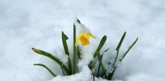 Can Bitcoin Bring An End To Crypto Winter Season?|BTCUSD Analysis October 24, 2022