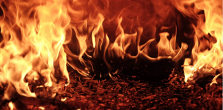 Shiba Inu Burn Rate Spikes By 1,860%– Why Financiers Need To Remember Of This