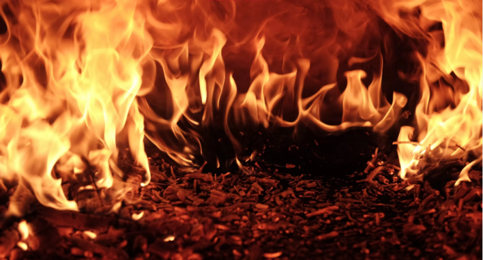 Shiba Inu Burn Rate Spikes By 1,860%– Why Financiers Need To Remember Of This Shiba Inu Burn Rate Spikes By 1,860%– Why Financiers Need To Remember Of This