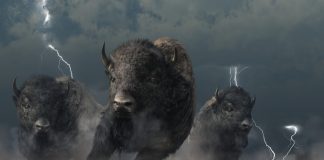 Are Bitcoin Bulls Ready To Stampede?|BTCUSD Analysis October 25, 2022