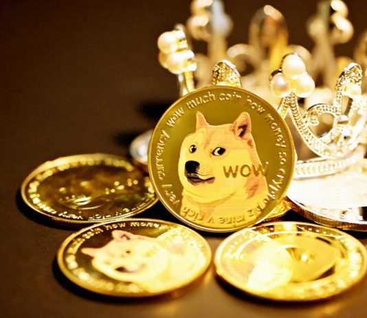 Dogecoin (DOGE) Rallies With Over 10% Gains; Will Cost Lastly Struck $0.1?